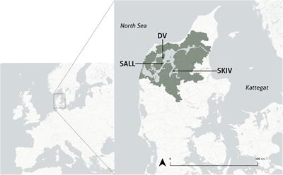 Production Characteristics and Optimization of Mitigation Mussel Culture